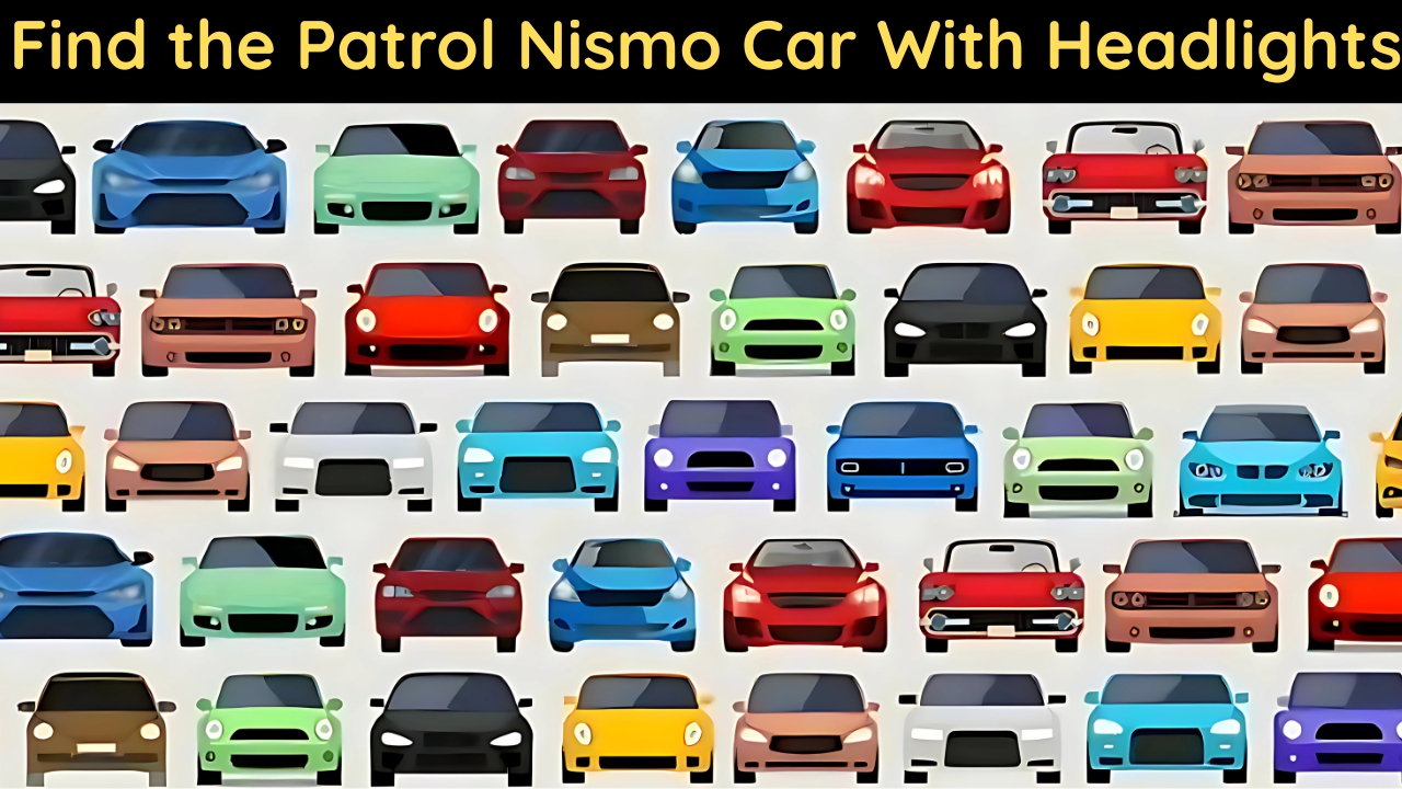 Optical illusion Patrol Nismo