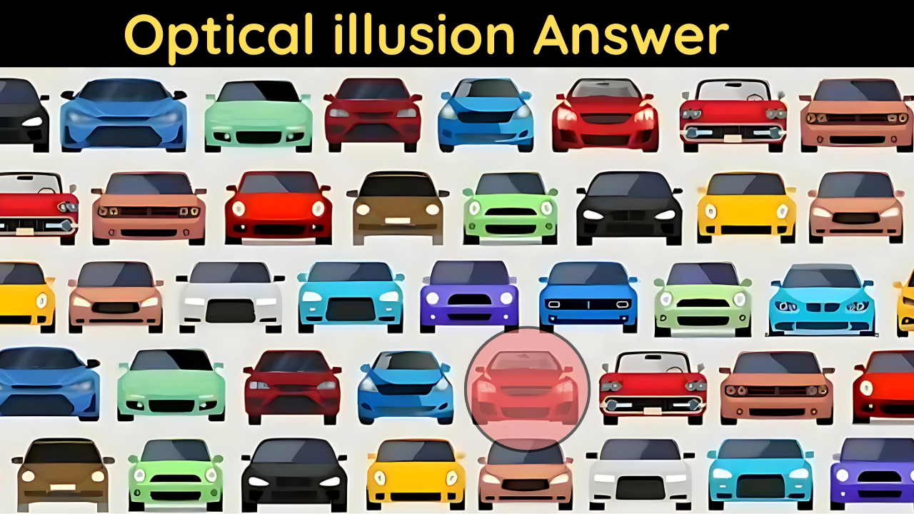Optical illusion Patrol Nismo