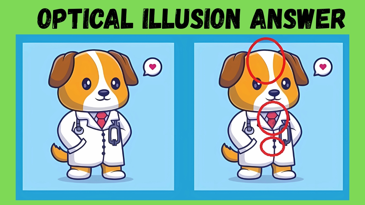 Find 3 differences