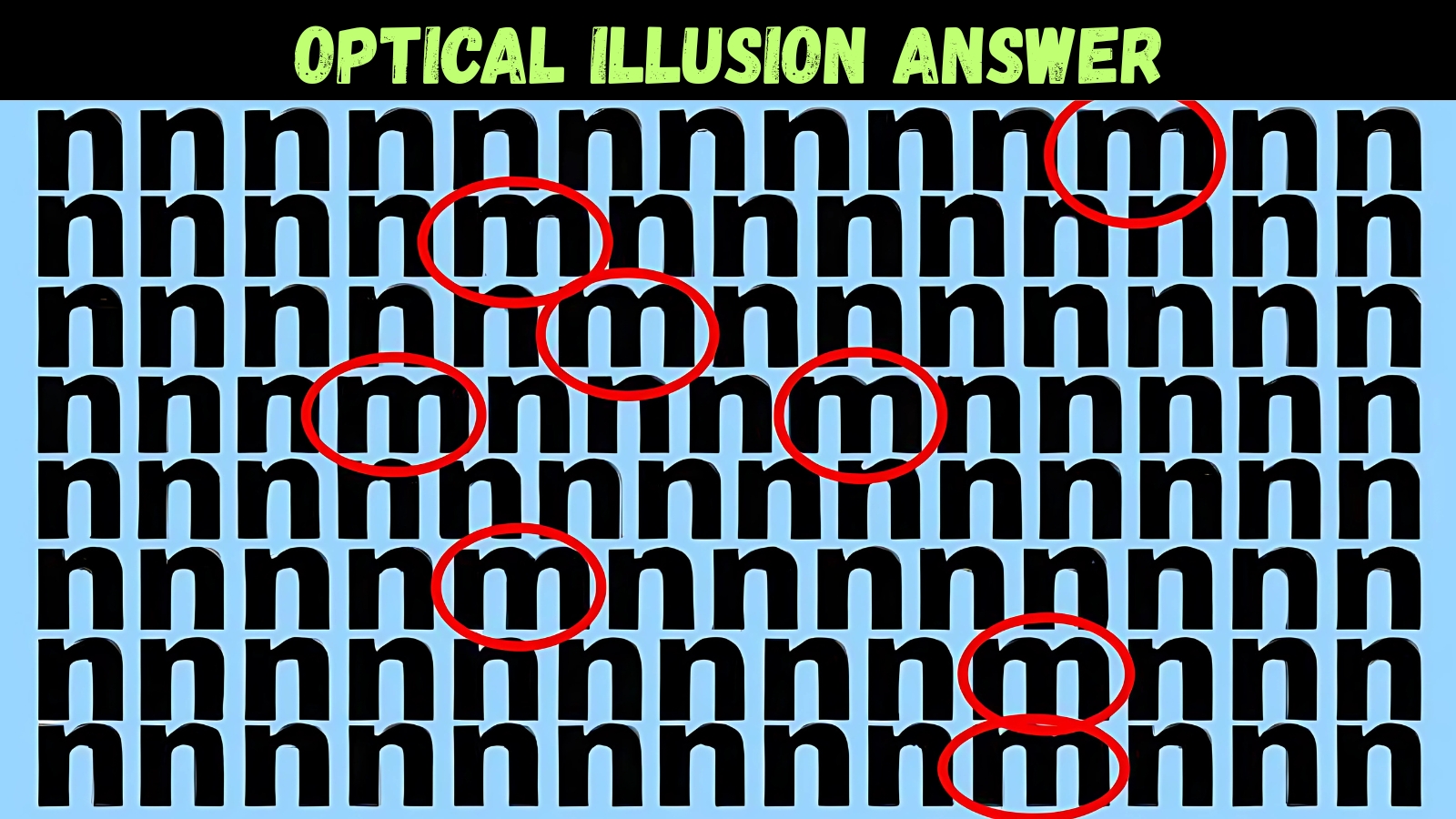 Spot All m