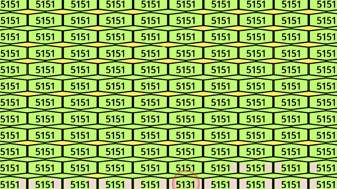 Hidden Number 5131