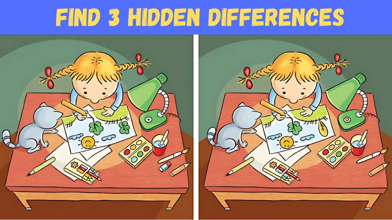 Optical Illusions