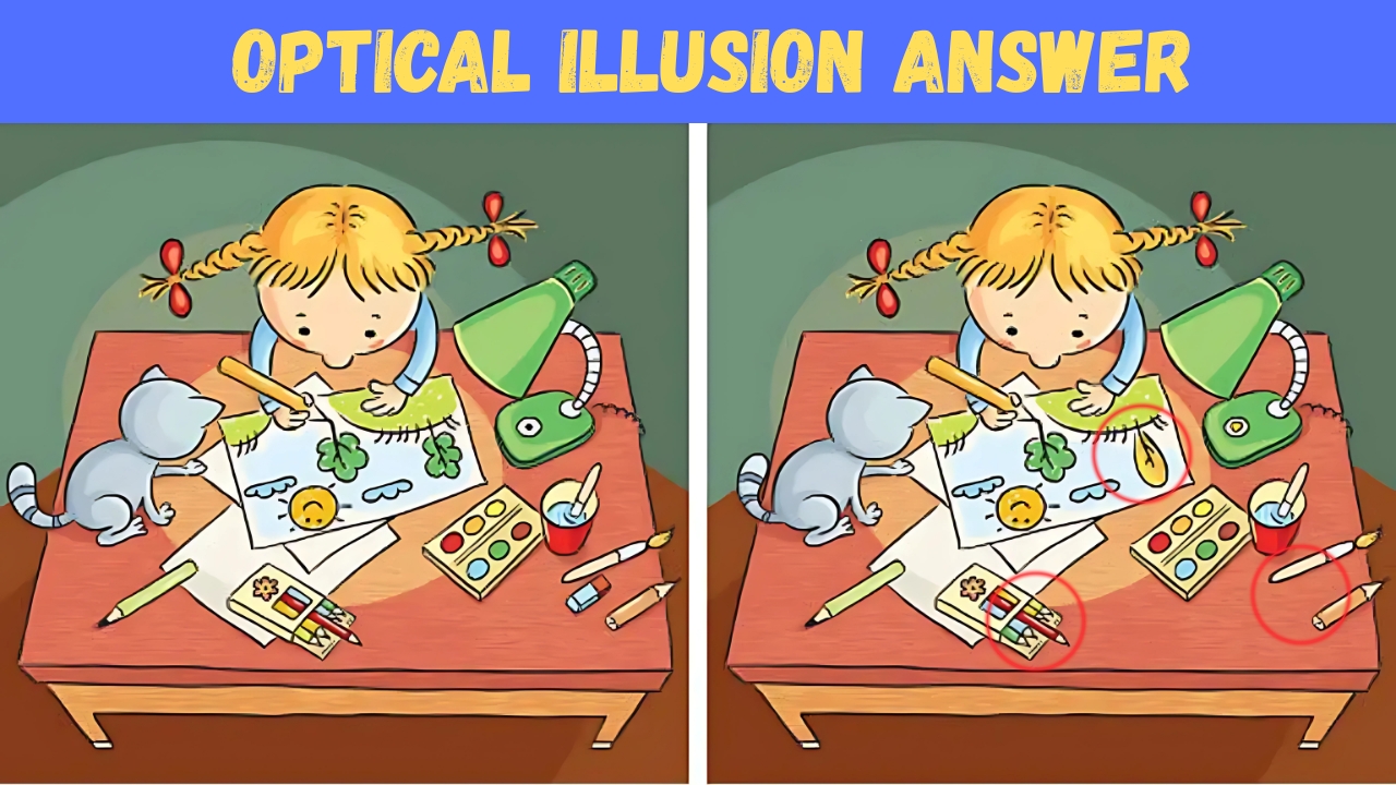 Optical Illusions
