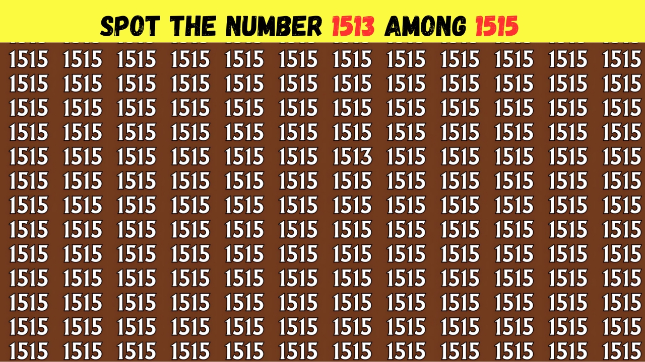Hidden Number 1513