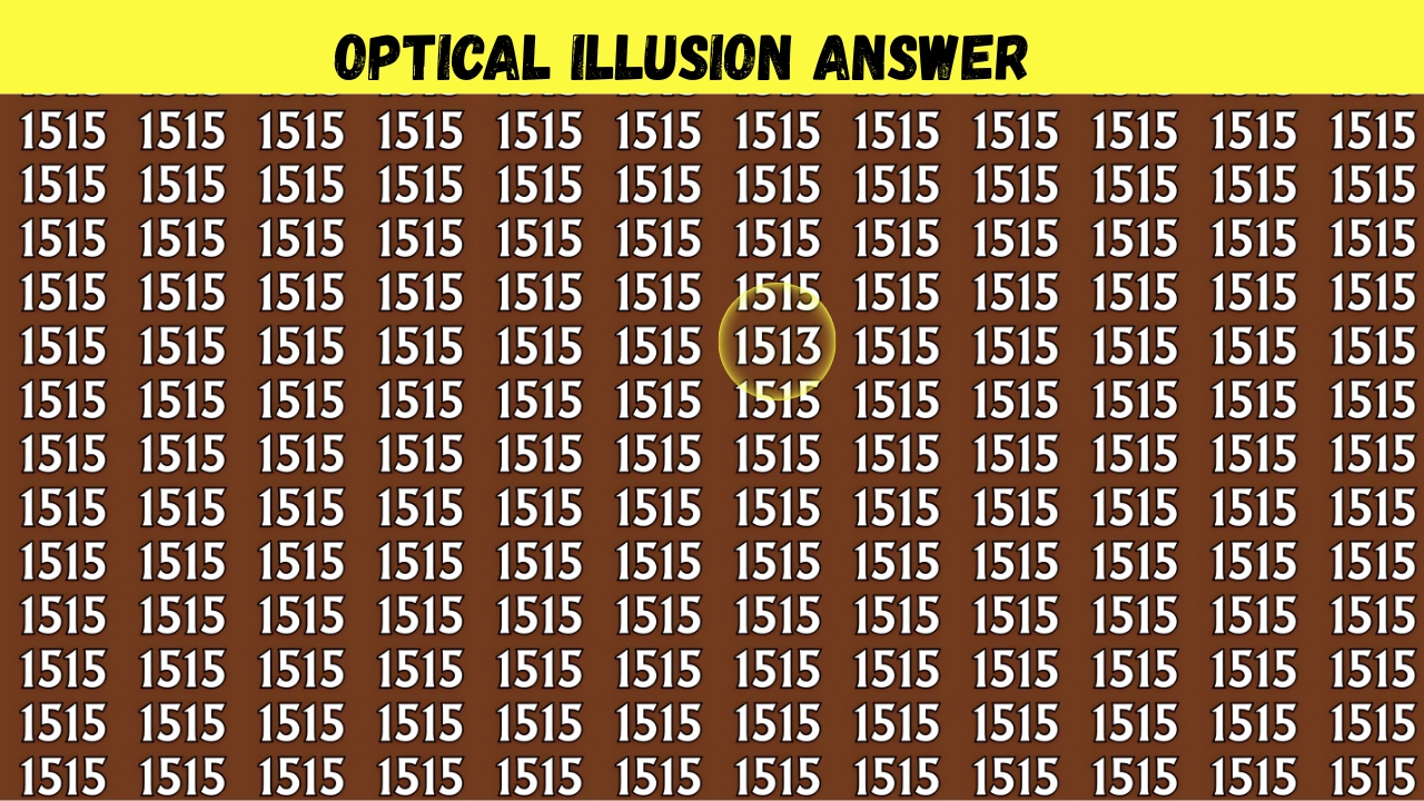 Hidden Number 1513