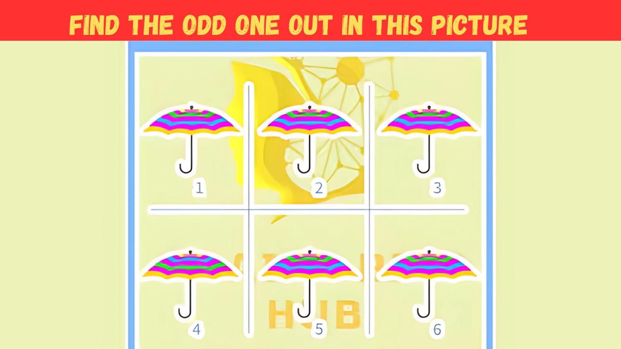 Optical Illusions