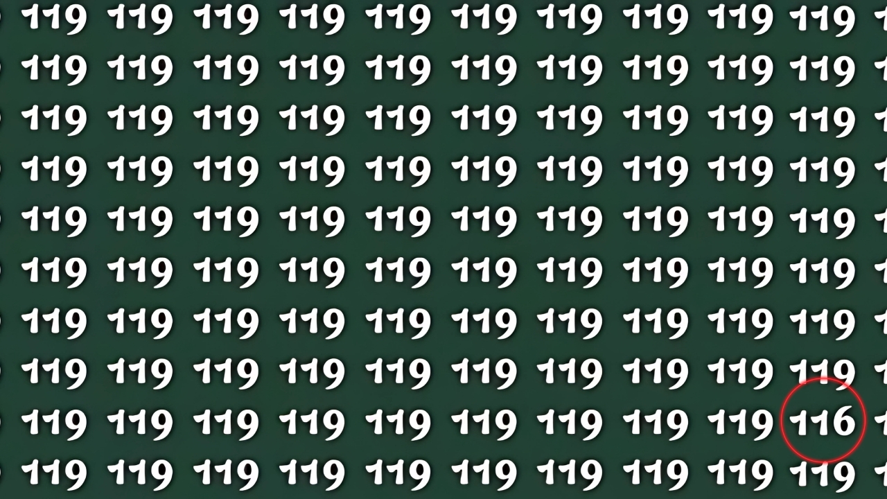 Find Hidden Number 116
