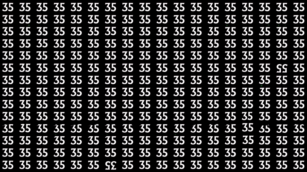Hidden Number 55