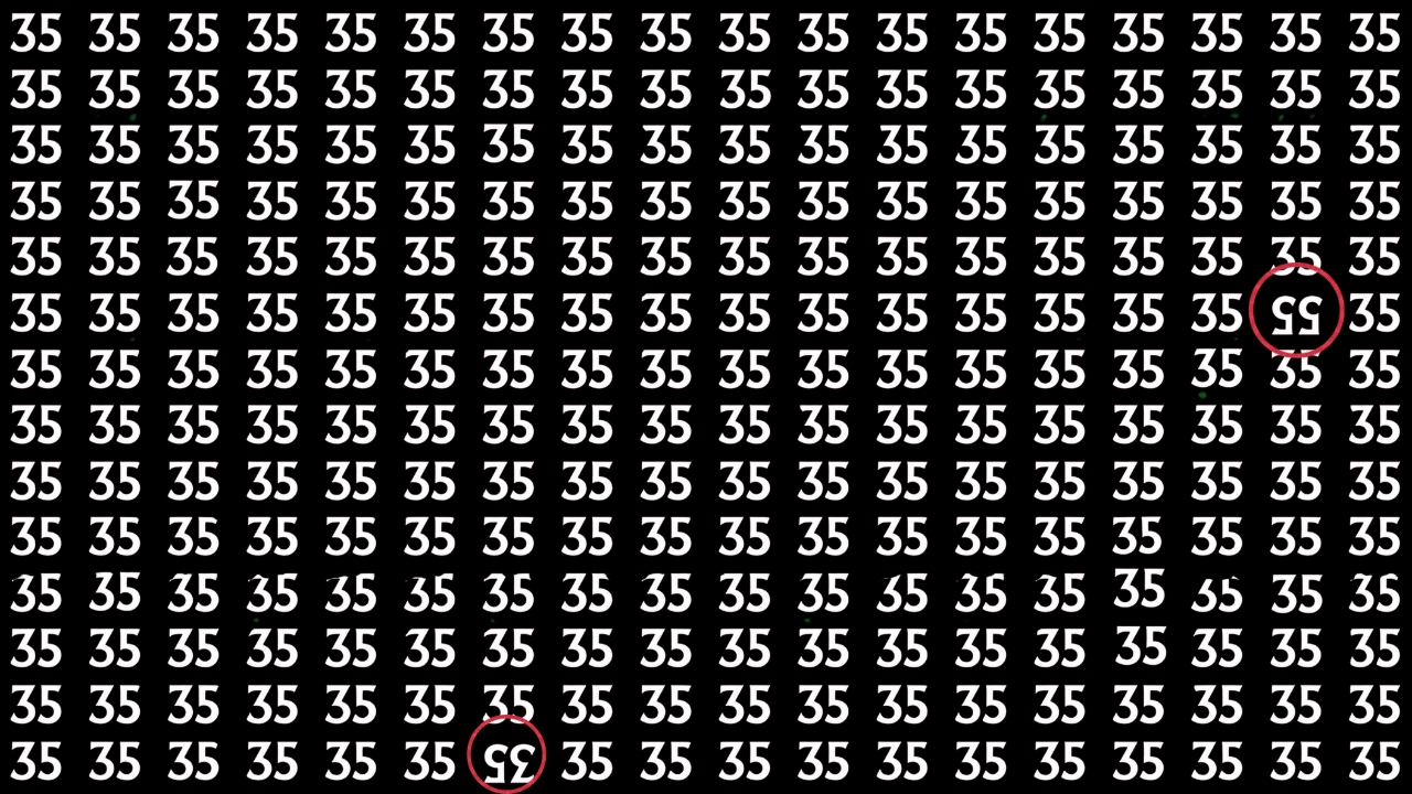 Hidden Number 55