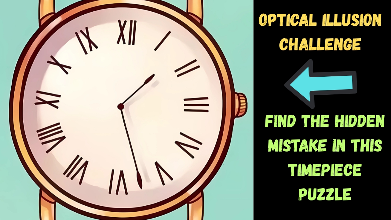 Optical Illusion Challenge