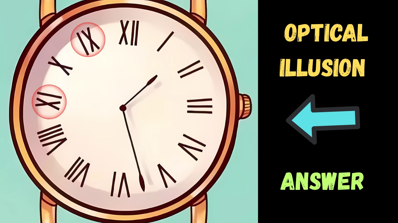Optical Illusion Challenge