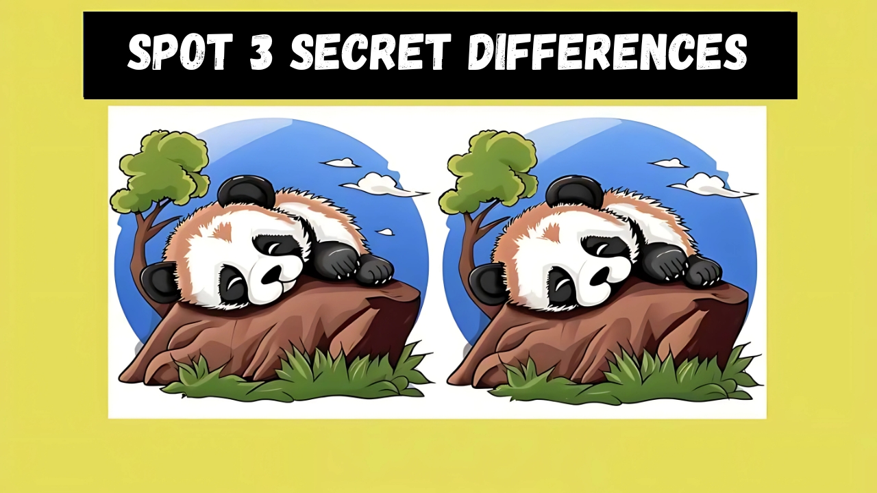 Sleeping Pandas