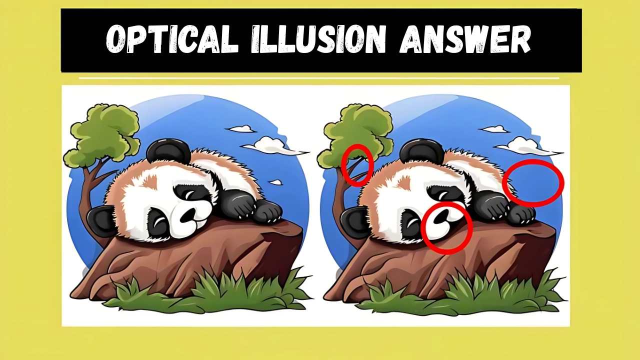 Sleeping Pandas