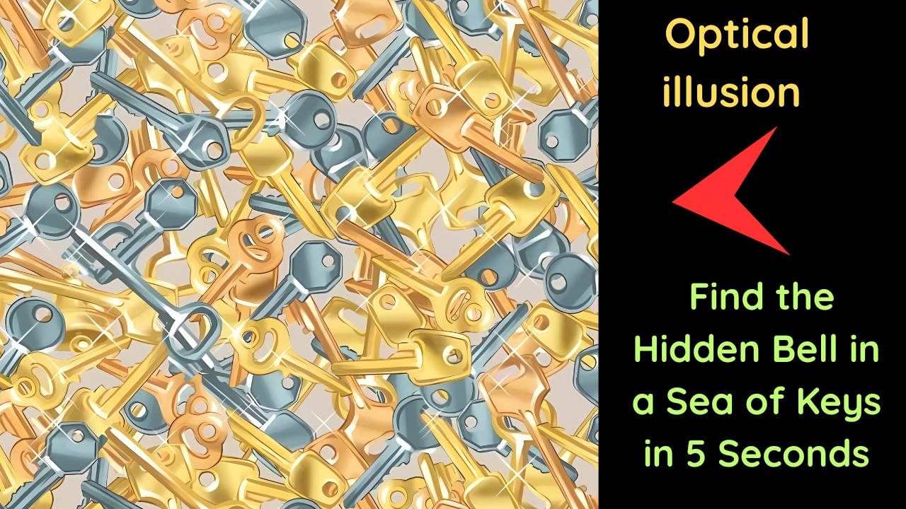 Find the Hidden Bell