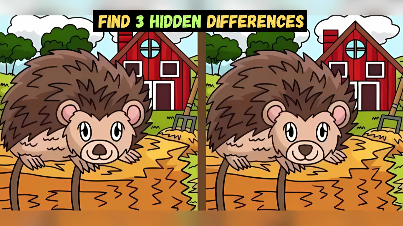 Optical illusions