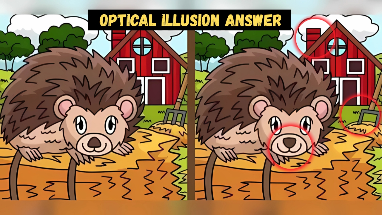 Optical illusions