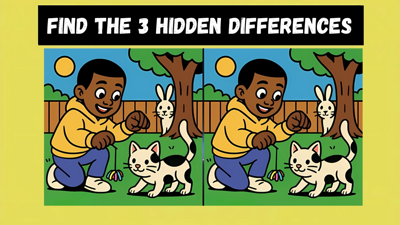 Optical Illusions