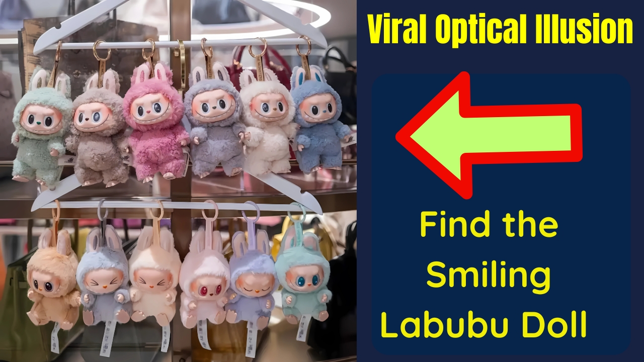 Smiling Labubu Doll