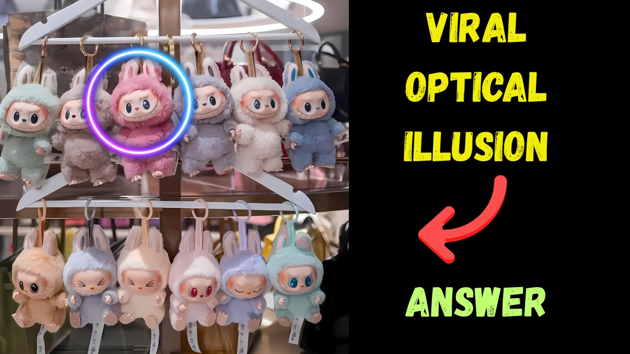 Smiling Labubu Doll