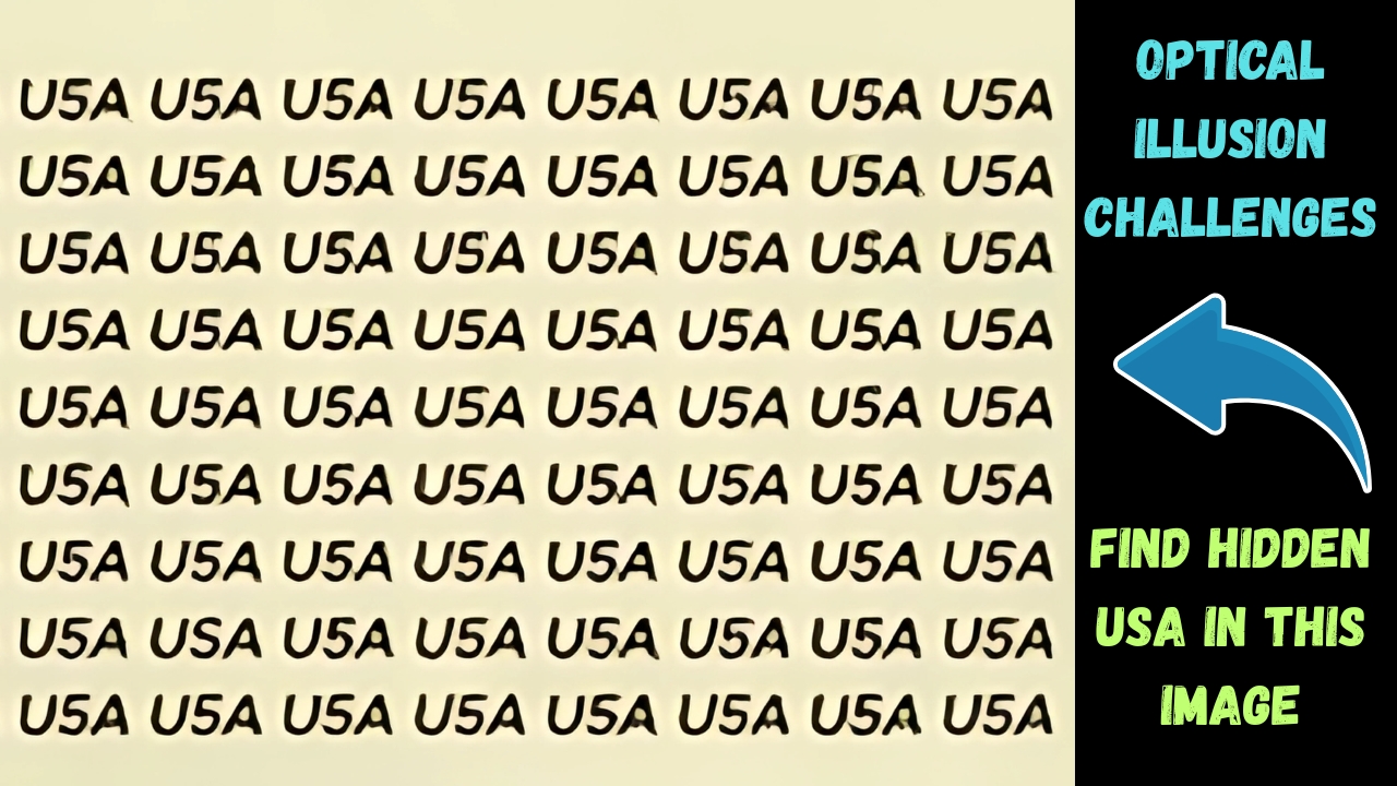 Hidden USA