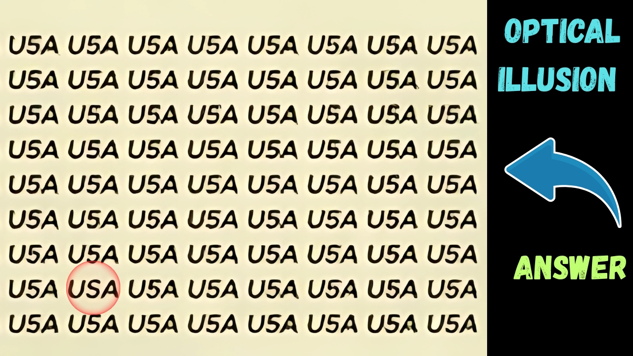 Hidden USA 