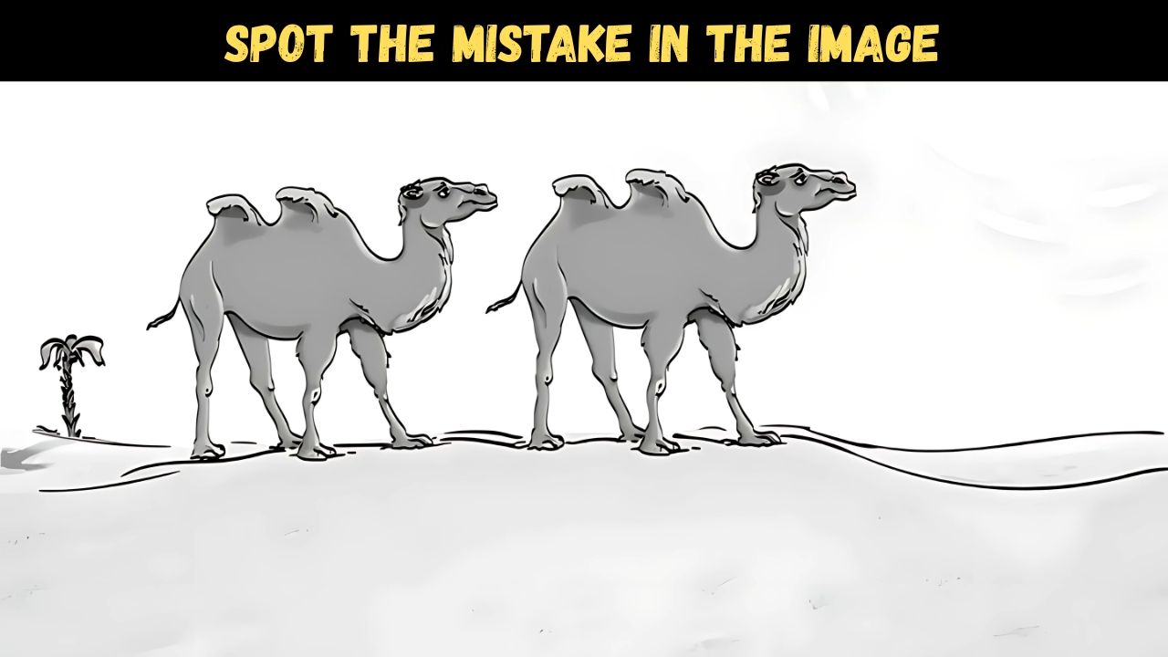 Spot the Mistake