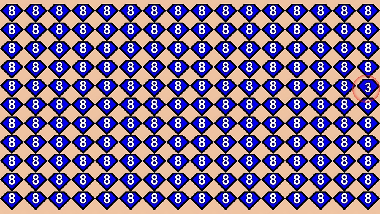 Hidden 3