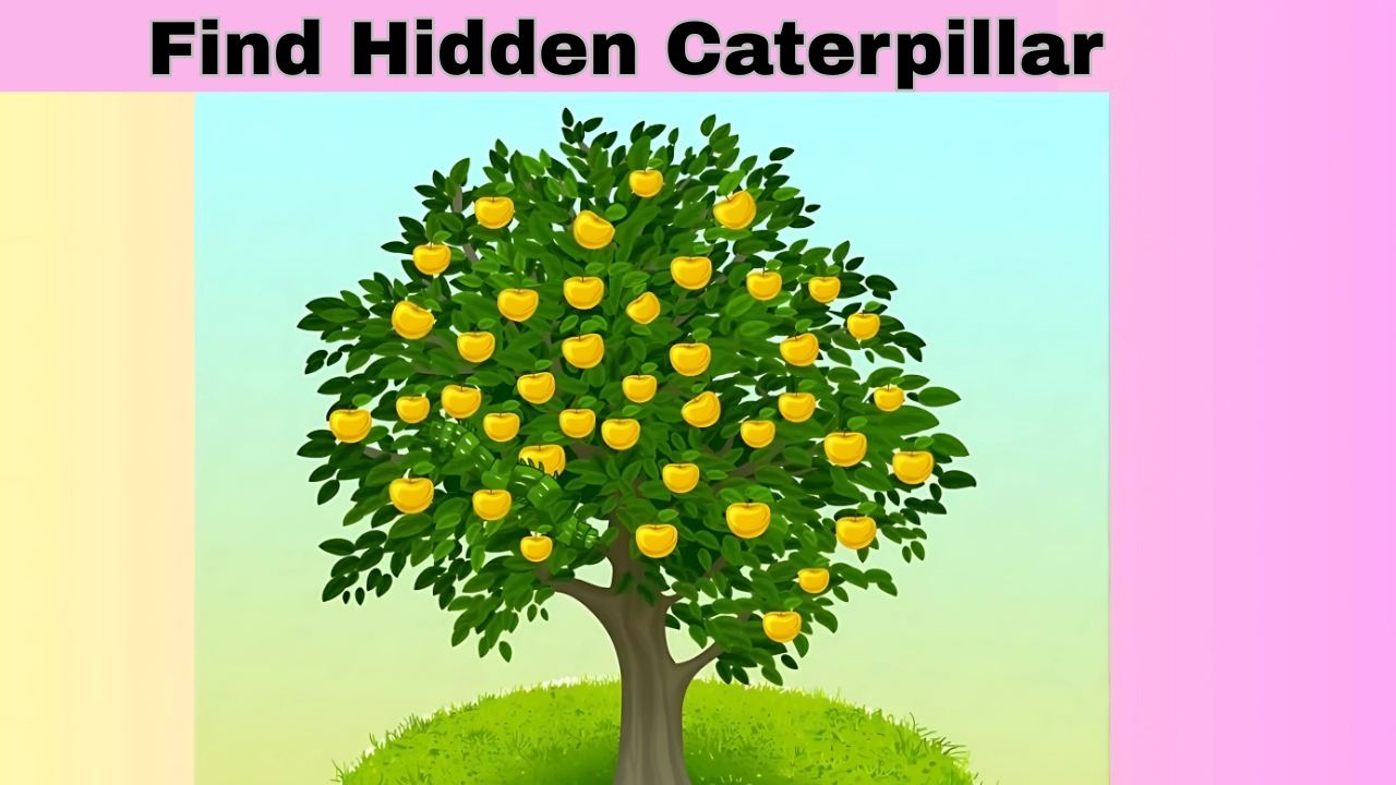 Hidden Caterpillar