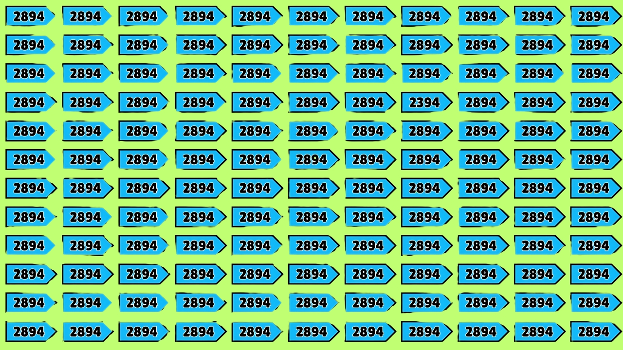 Hidden Number 2394