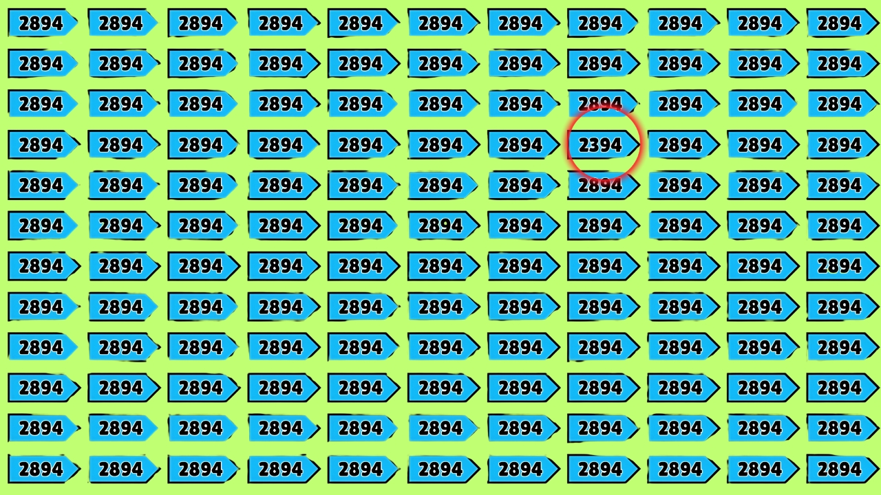 Hidden Number 2394