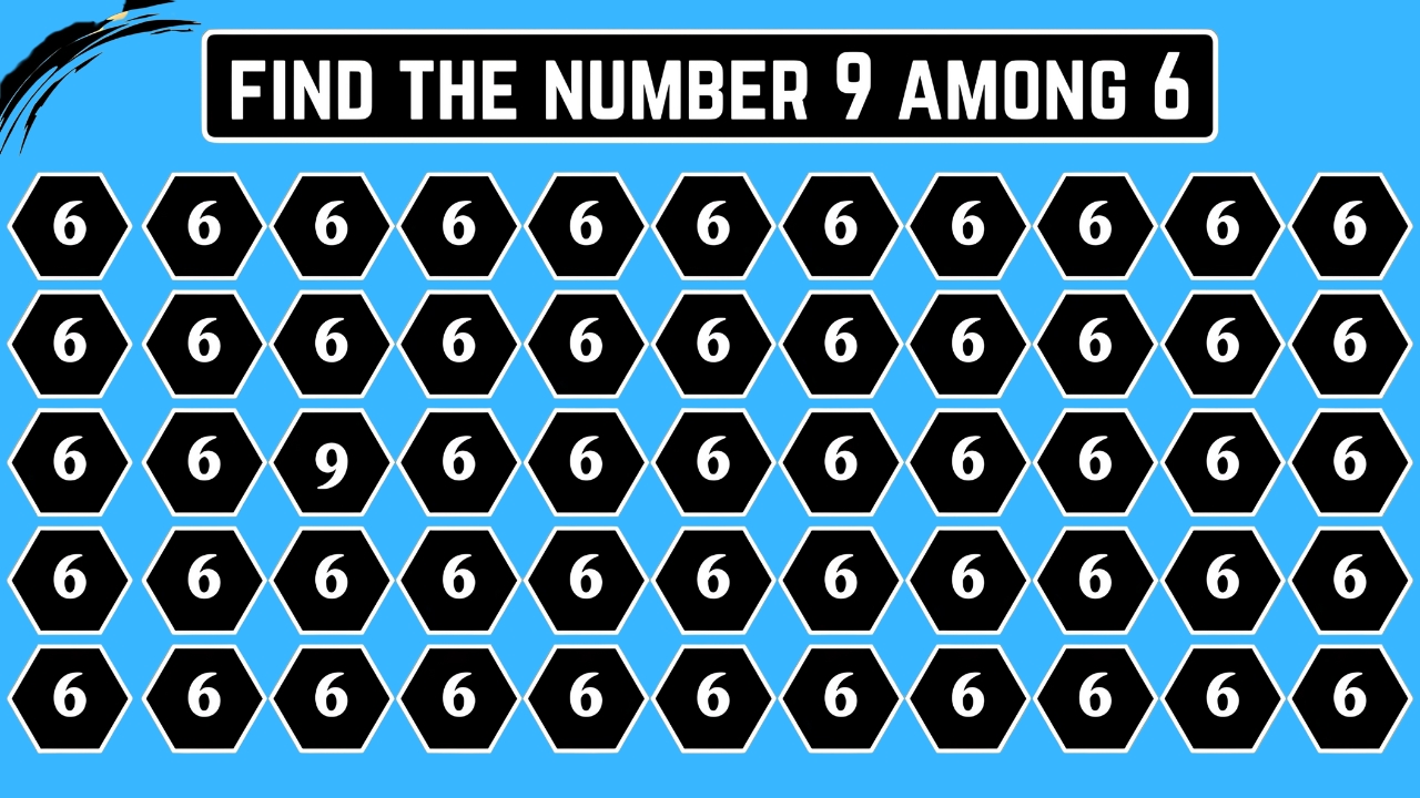 Hidden Number 9