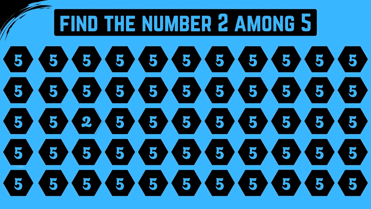 Hidden Number 2