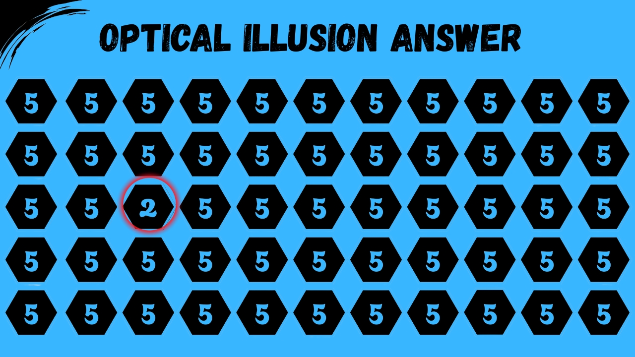 Hidden Number 2