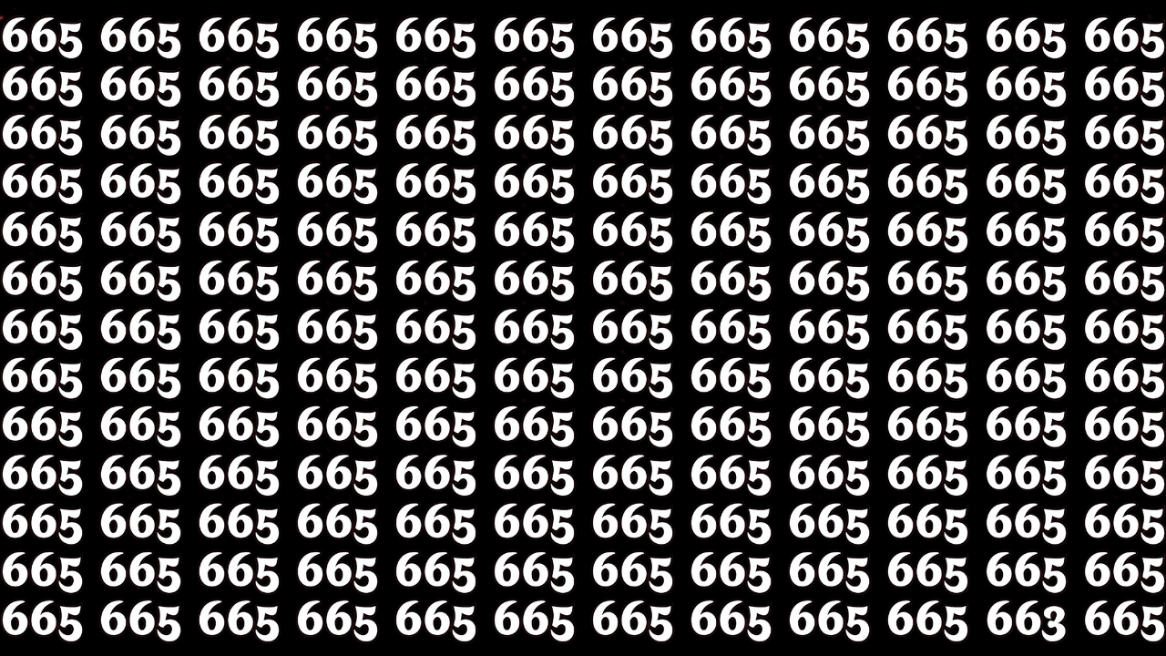 Hidden Number 663