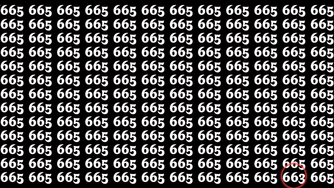 Hidden Number 663