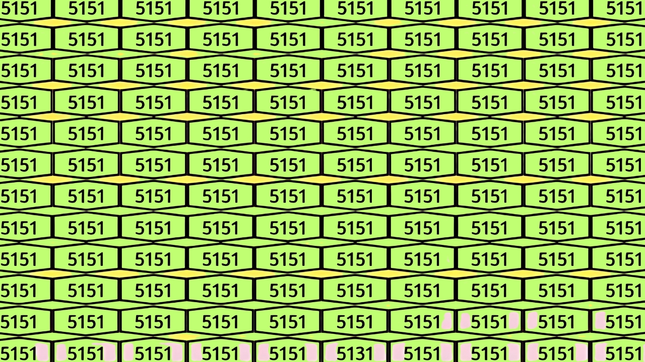 Hidden Number 5131