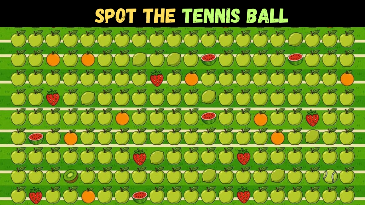 Spot the Tennis Ball