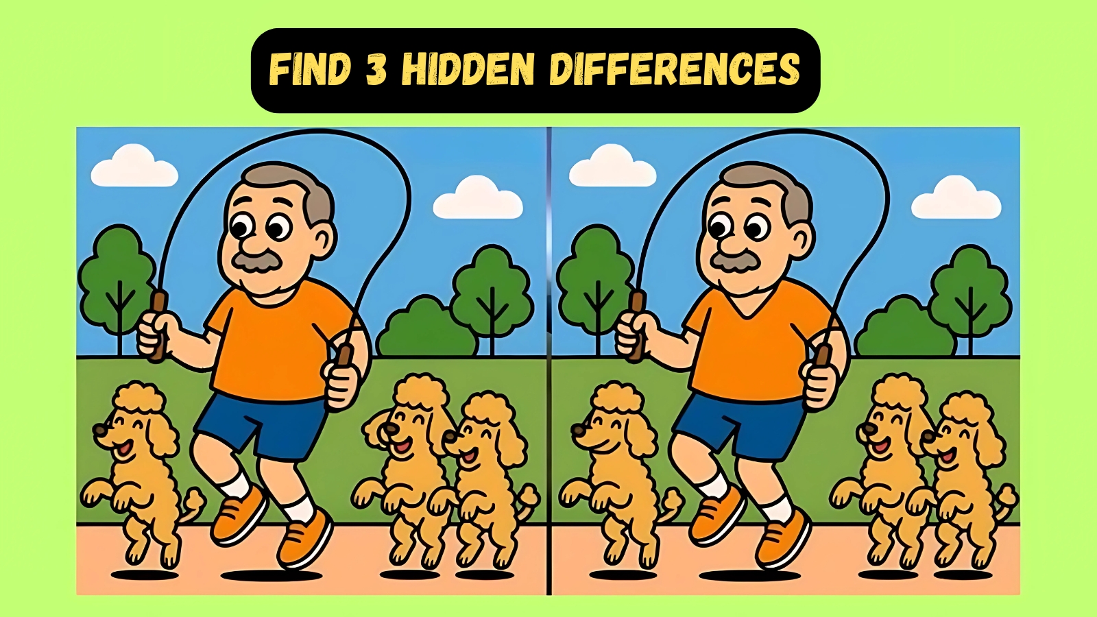 Find 3 Hidden Differences