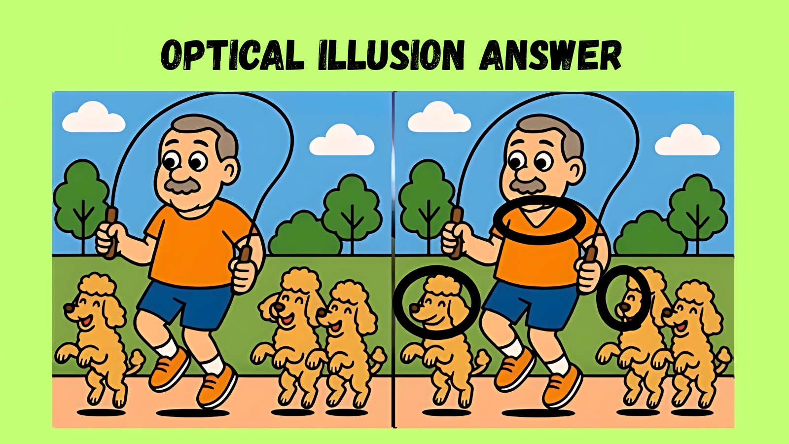 Find 3 Hidden Differences