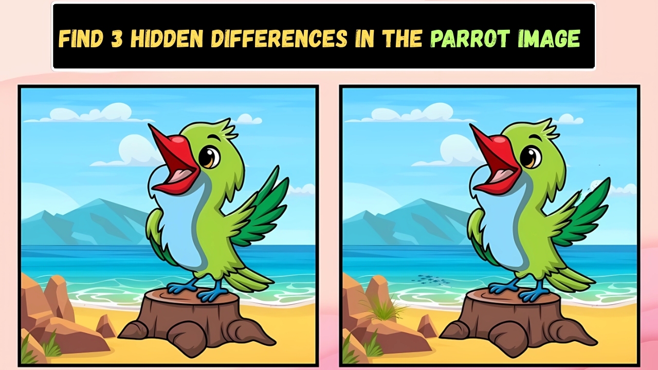 Parrot Image