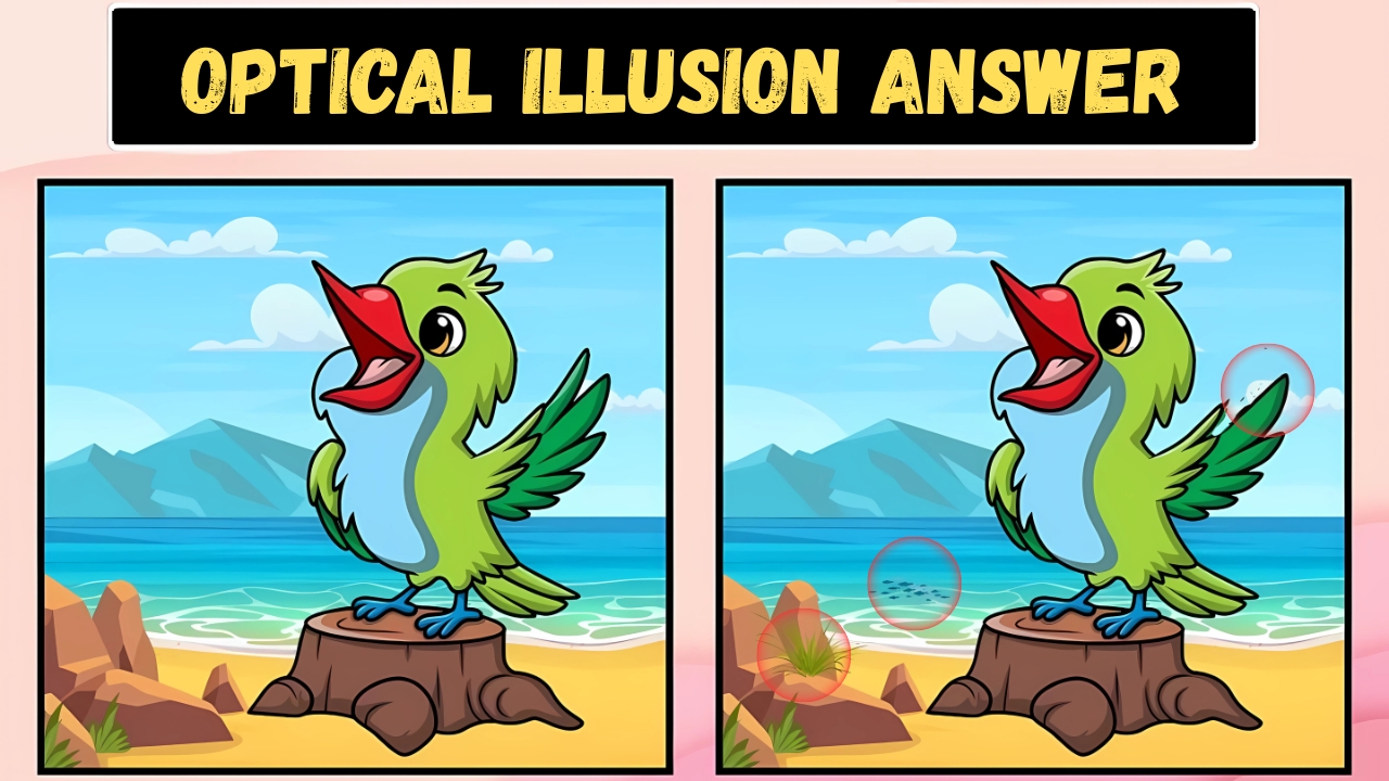 Parrot Image