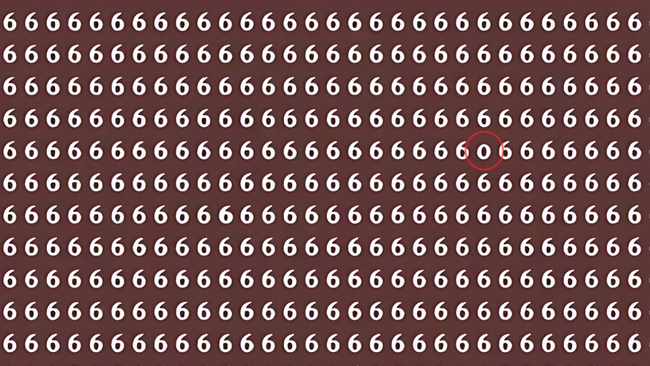 Optical Illusion Find Zero