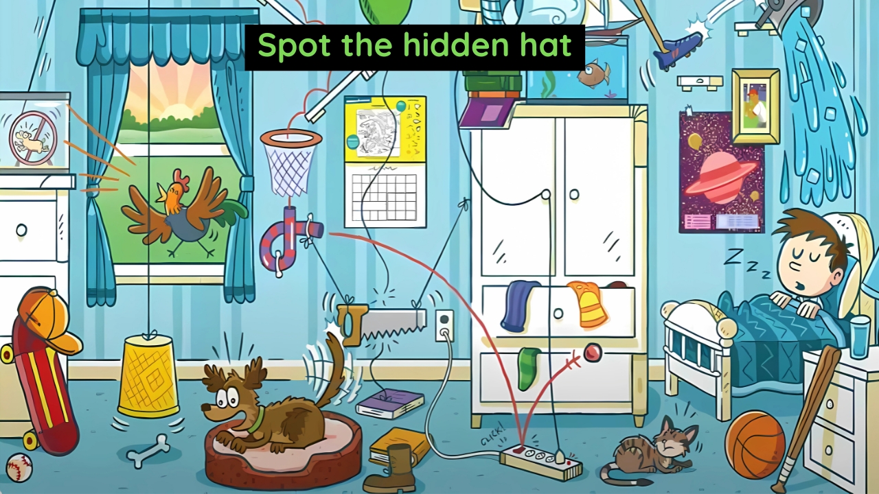 Hidden Hat