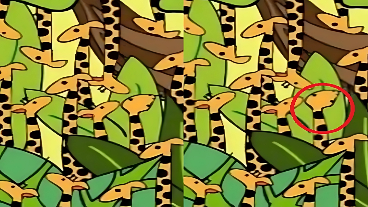 Hidden Snake