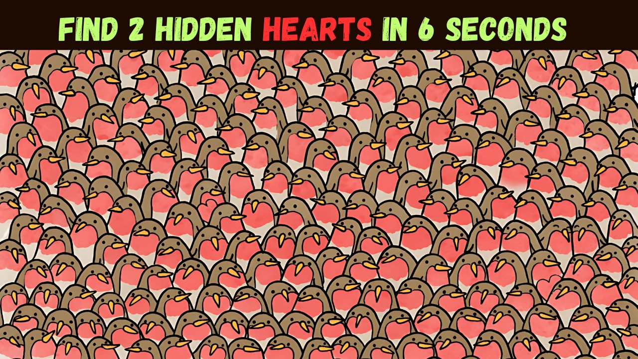 Hidden Hearts