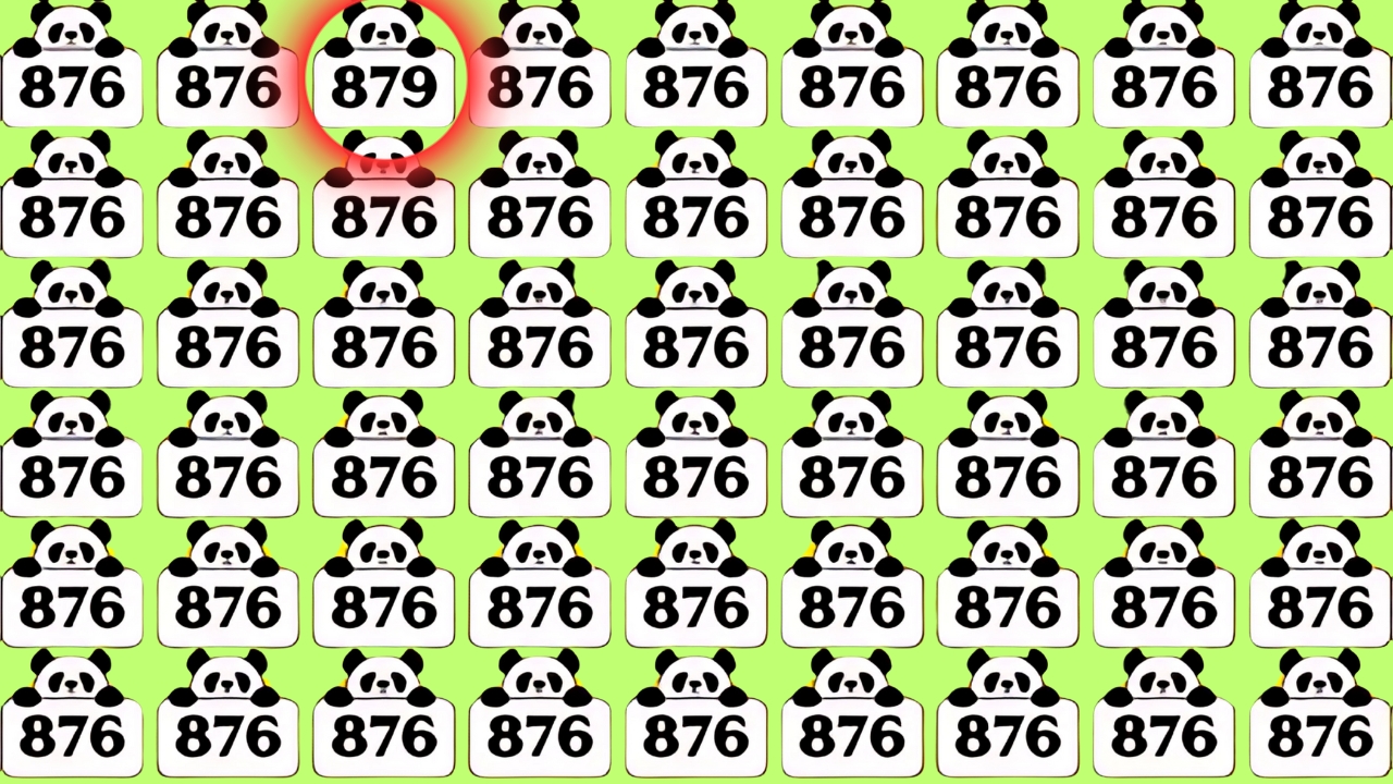 Hidden Number 879