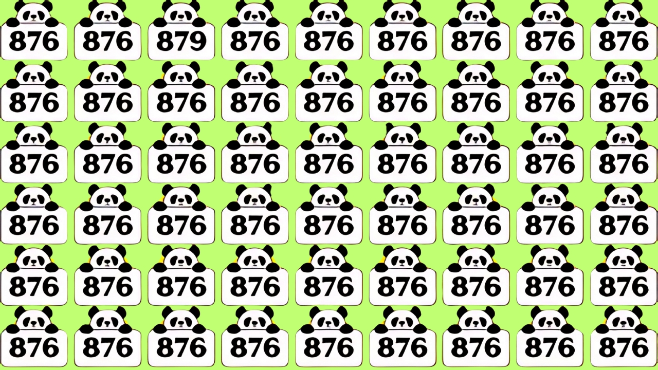 Hidden Number 879