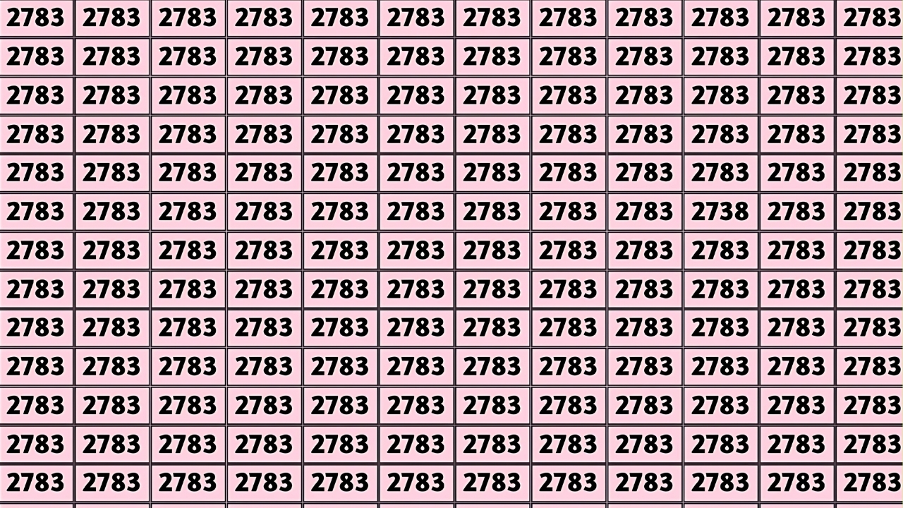 Hidden Number 2738