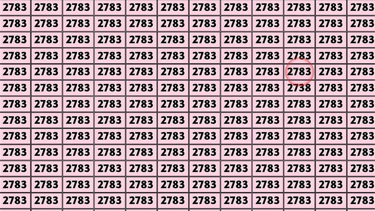 Hidden Number 2738