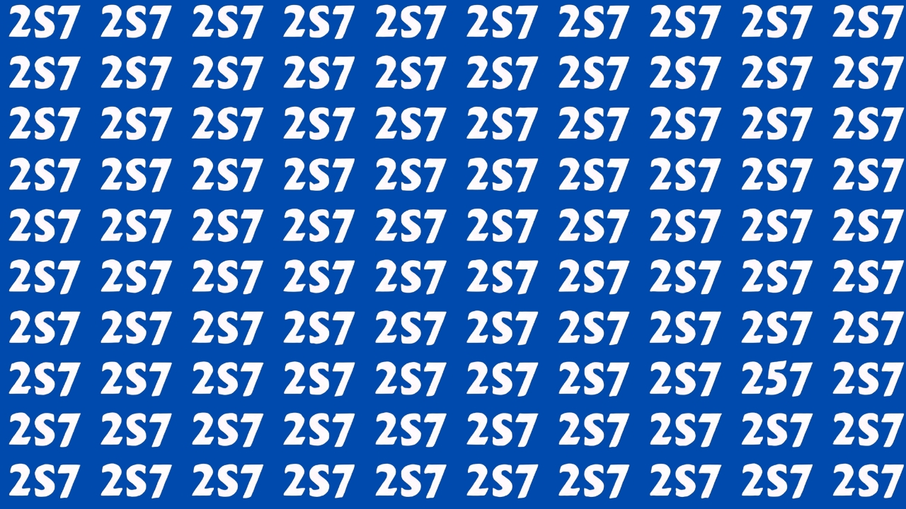 Hidden Number 257